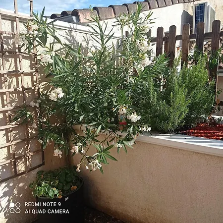 Terrasse En * Langon (Gironde)